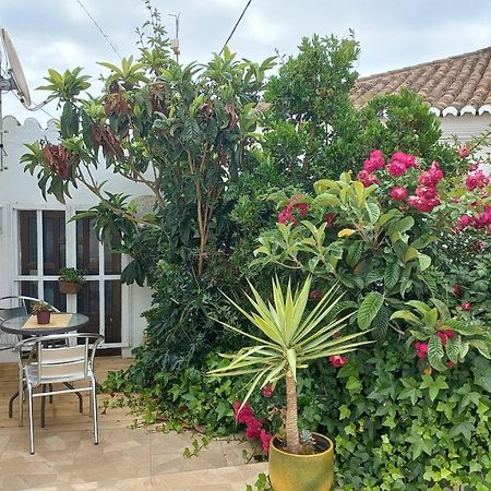 Pedralva Casa Dos Avosヴィラ エクステリア 写真
